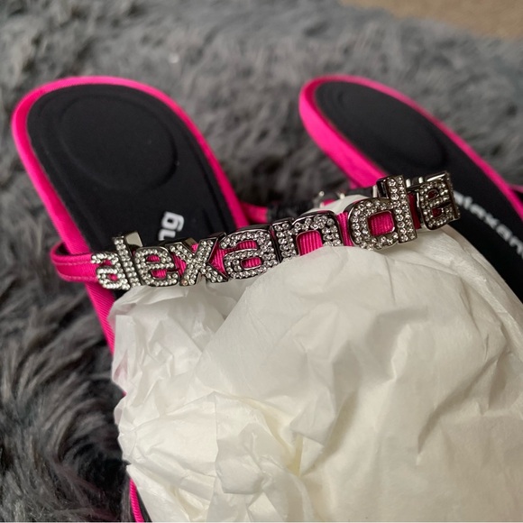 ▪️NIB Alexander Wang Delphine 65mm embellished mules - Picture 9 of 12